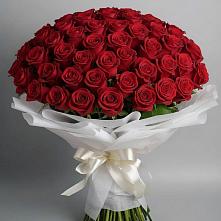 Букет 101 Красная роза Блэк Мэджик в Шерловой Горе