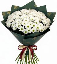 Букет цветов из:  Хризантемы #REPLACE_PRED# Шерловой Горе