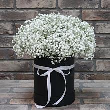 Цветочная композиция из Гипсофила в шляпной коробке #REPLACE_PRED# Шерловой Горе
