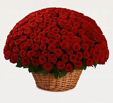 Премиум букет из: Розы в Шерловой Горе