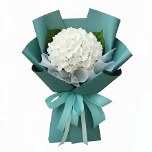 Букет цветов из:  Гортензия #REPLACE_PRED# Шерловой Горе